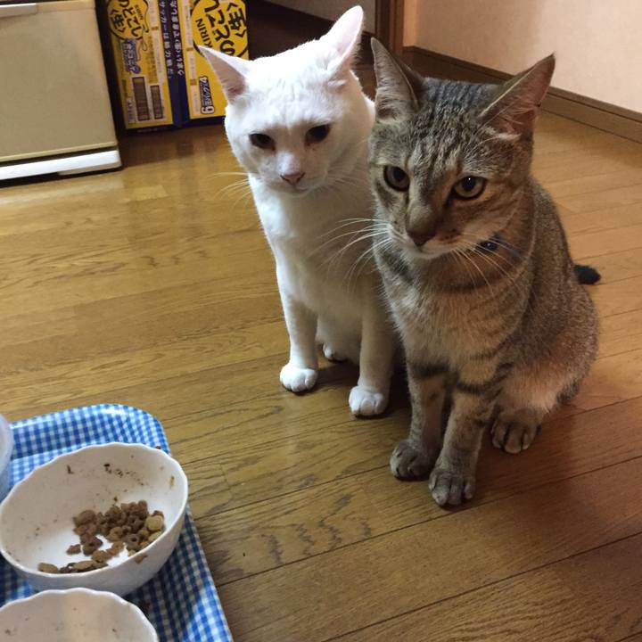 68340c1a f6a0 498b a84f 907d67a1ee1c