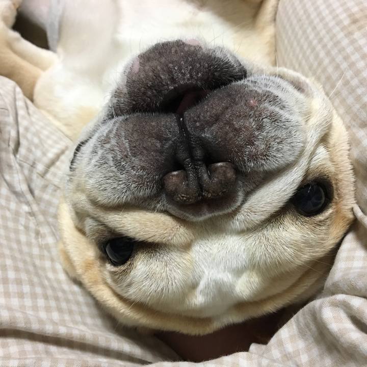 6834267a ac75 449c 84c4 3b507d99c3d0