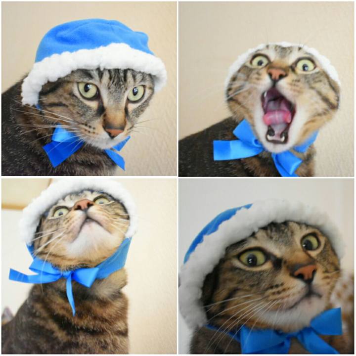 6834590d 24ba 4de9 93c8 b58612e20238