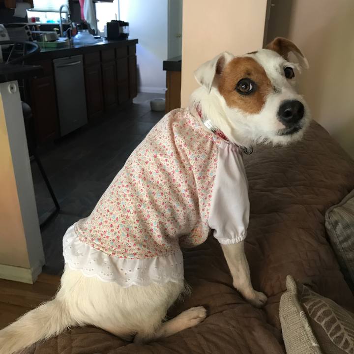 68367d99 89dd 47d0 8883 75ffffea4757