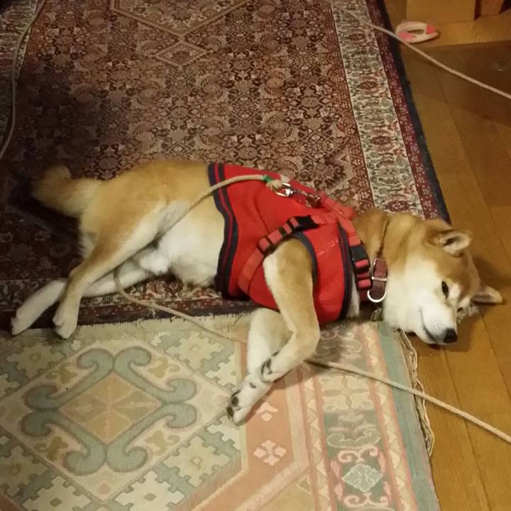 6837160a baaa 4965 9ab6 e01118c611d8