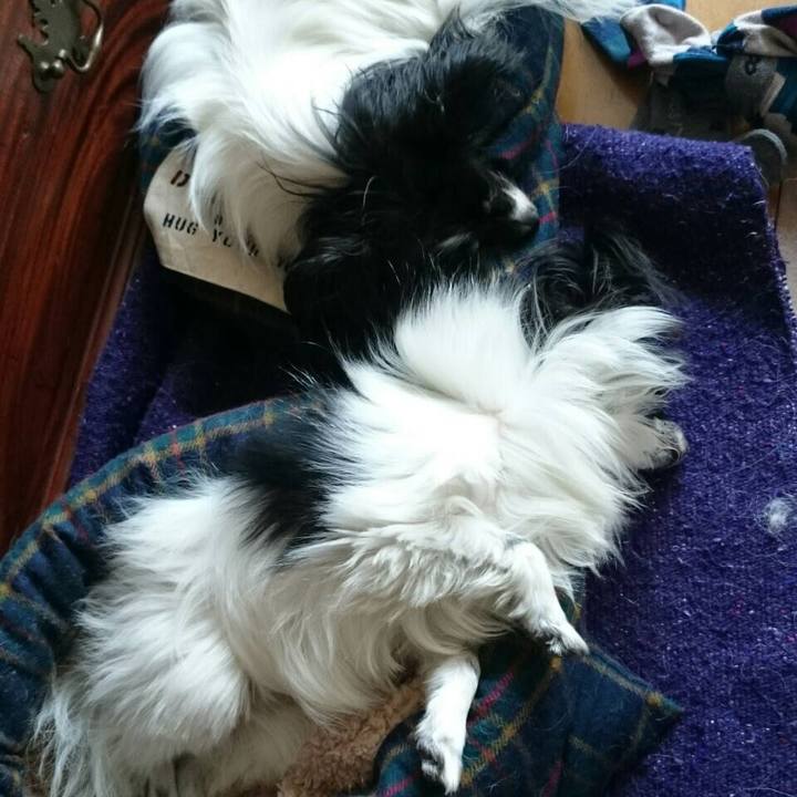 6837665c 135e 4776 a46a 8e479b468120