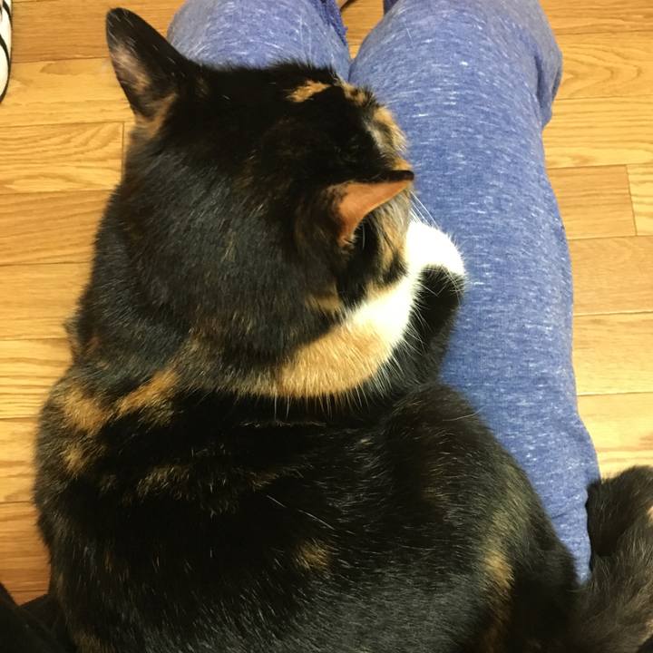 68378a6e f269 4e7d b43f 3940f7e70210