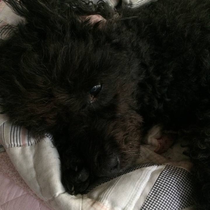 6837dc82 6d02 4c44 aba8 9ca54a28d475