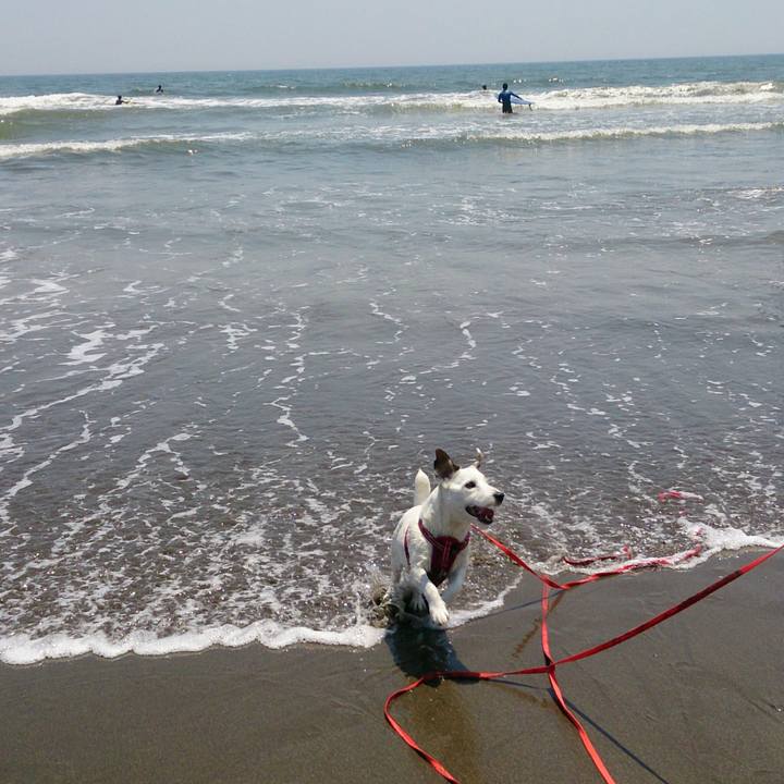 68381d1d b5dd 4365 aeae 0c477012dc63