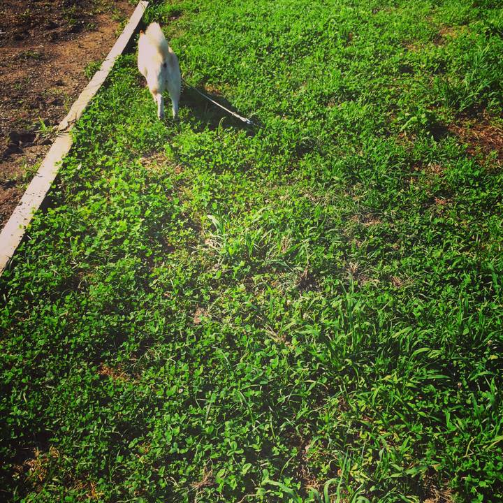 68387c70 df14 4a6c aab2 75e2bae3fd6c