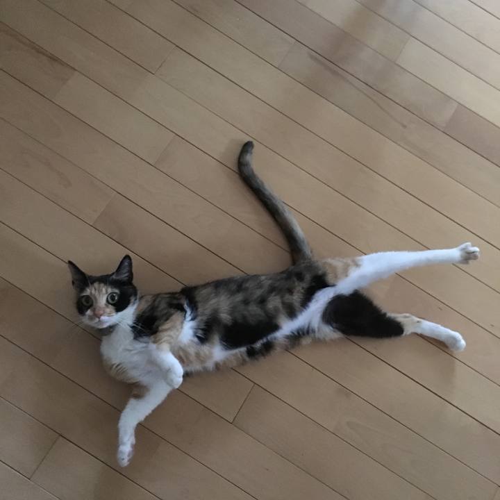 683890f6 7cef 4307 aa05 1ccfb3f4b683