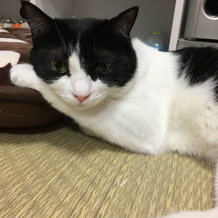 68399c0b 5fdb 4c61 9e2a 334c63141b61