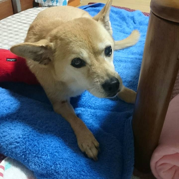 683adad3 36b6 49f0 a2f1 9b652401d3ff