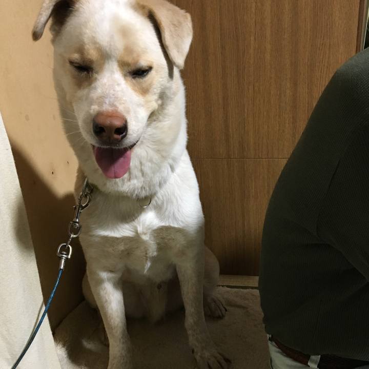 683af7e0 7871 49c5 aede 221735660533