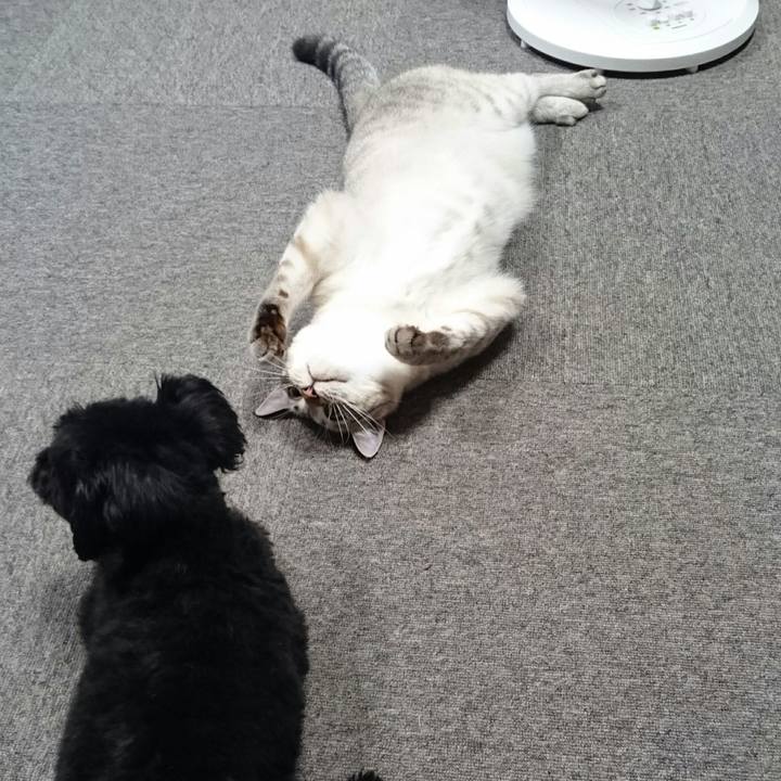 683b9725 39af 45b3 bb35 4cee24f61057