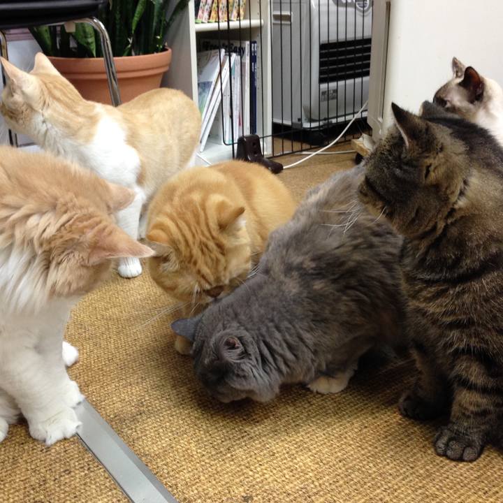 683ba0e9 502d 423f a6c3 f4e379ae748b