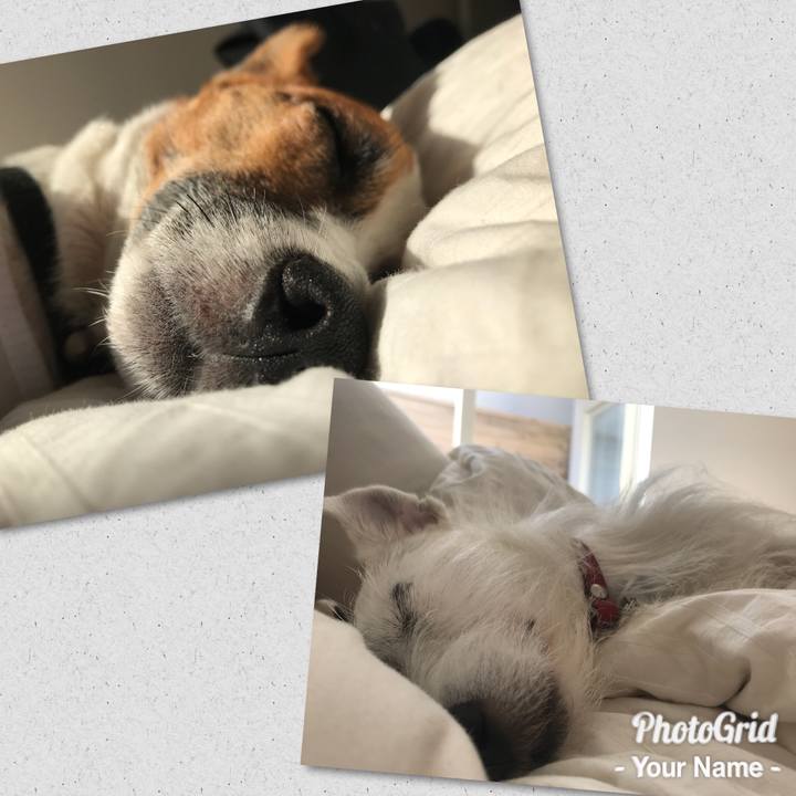 683bb27c ac82 48ad b214 dd9fc854ca39