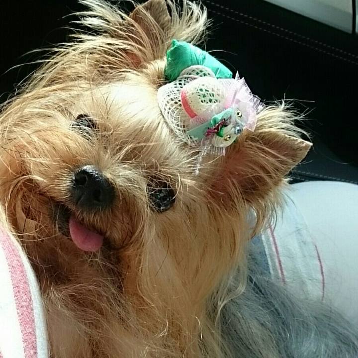 683c102a ab60 4be1 bb46 00e7624cf347