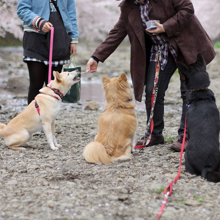 683c8f2b e353 4d06 b537 5f7b88f86a85