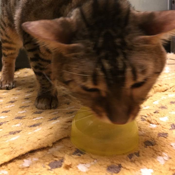 683d087d ef72 4882 a49f 95ccc7ce580e