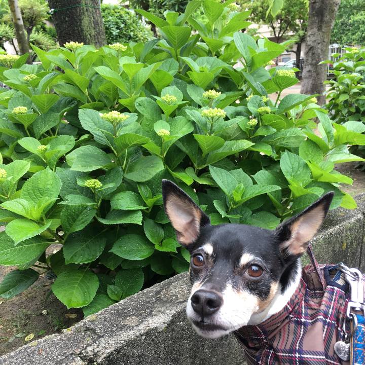 683d9e2b d0c1 4b76 97d7 69acc5e4b8b4