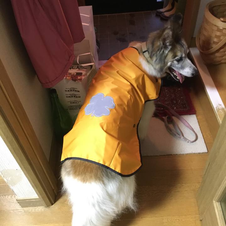 683da4a4 784b 449a 8d94 d536ce6276e6