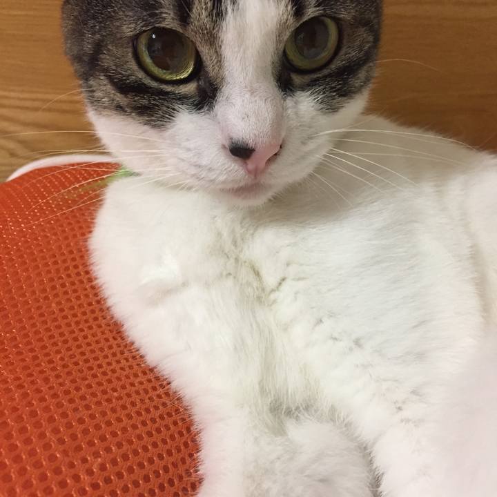 683de5ac 59c7 47d1 8bef 2df5cdea4098