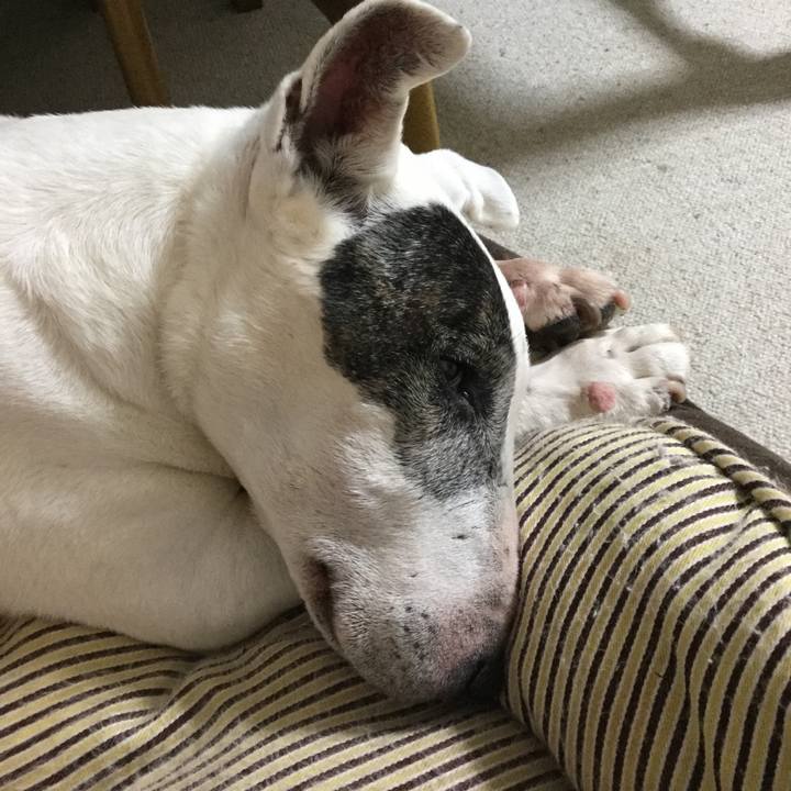 683e0ba7 f90f 452e 8f7b 74c90ba1bde3