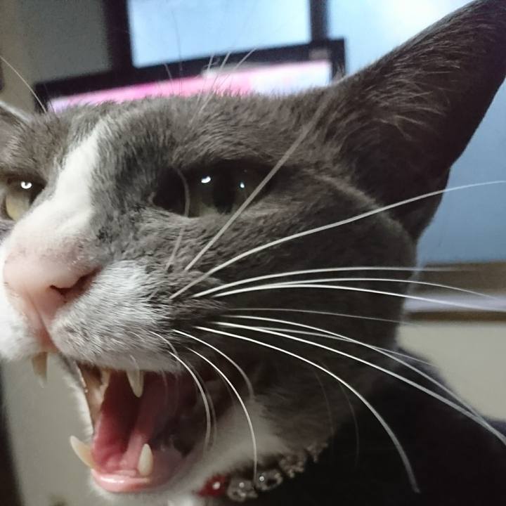 683f48ab 21f9 4241 9317 29fdfffc9a7f