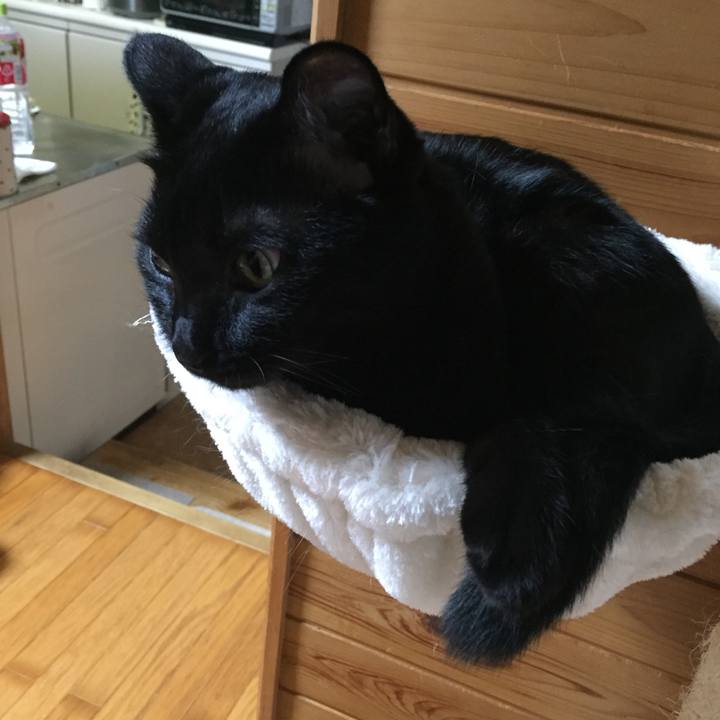 683fe3b3 462b 4d47 9243 758899bb9177