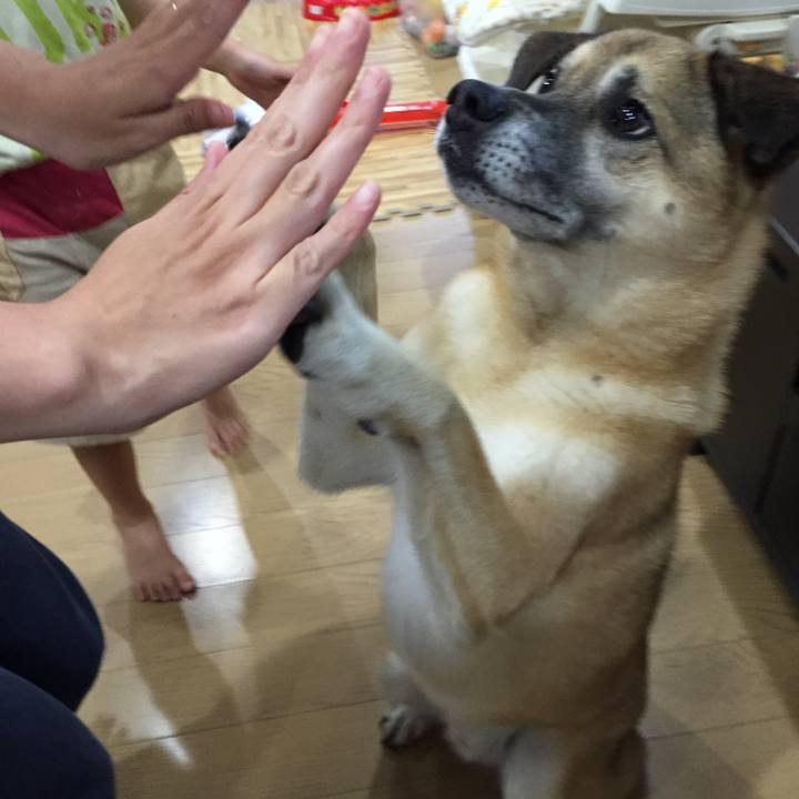 68404924 70f4 47aa ab53 2b1de63c64ed