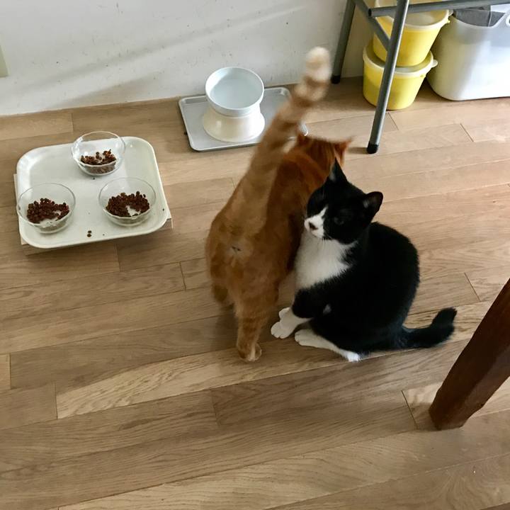 6840bcea 2abd 486c bf4e f19bdfc0273c