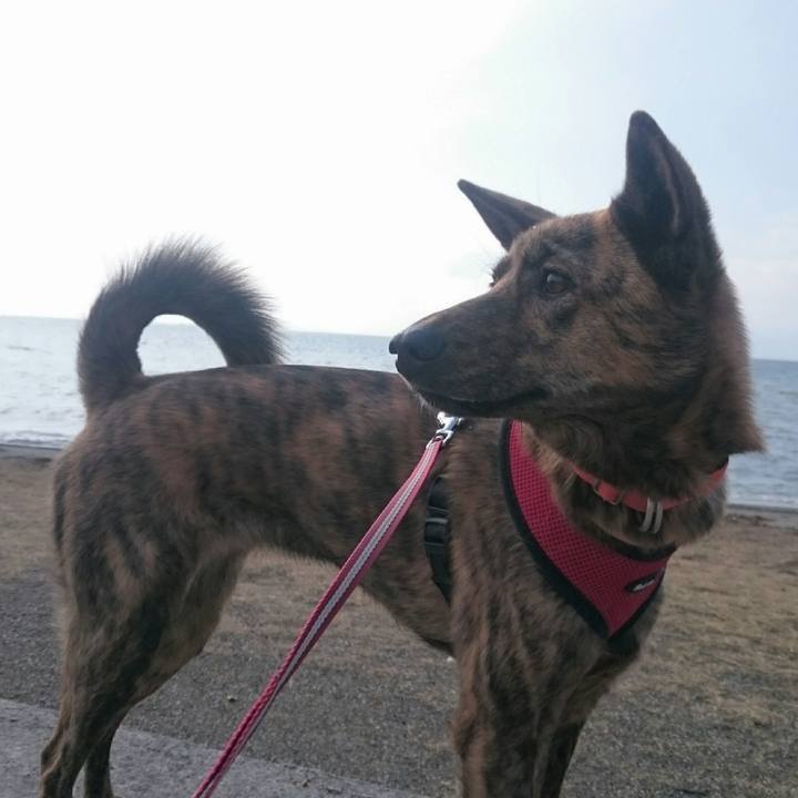 68413c5a c3b8 481b 8015 cd98fc846668