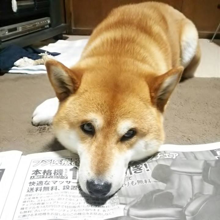 6841e75b 0f54 464c a1f9 9a4fcbce51da