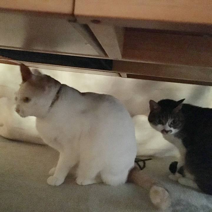 684274c6 2c76 4697 ab1d 9a5312c7f7bf