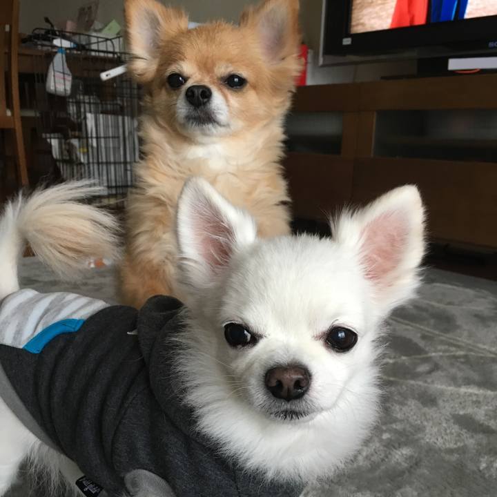 6842cd79 b034 4e8c ad8a 0889dd67a7f9