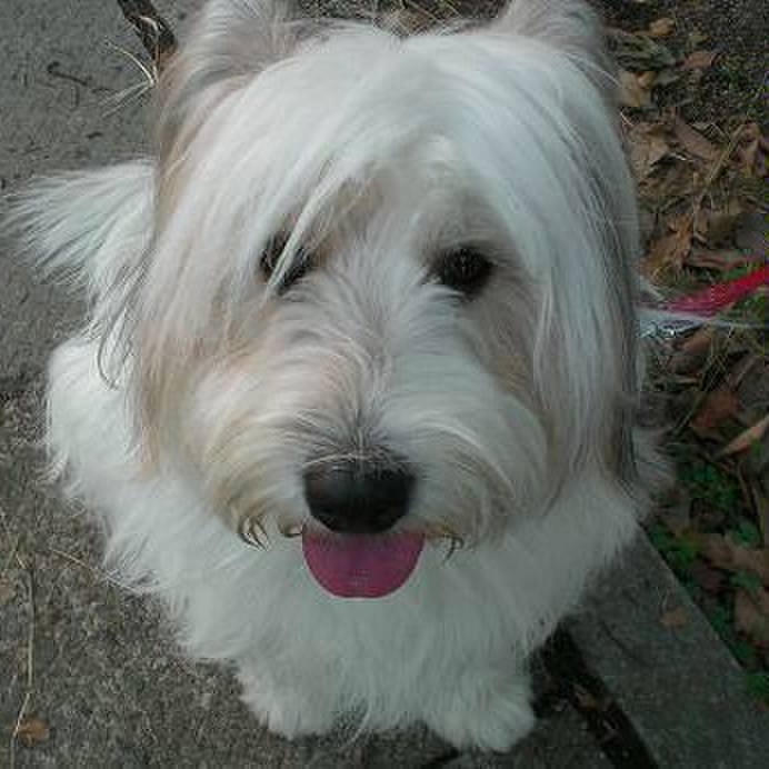 68436b11 db9d 4bea 931f 180cbc03fac1