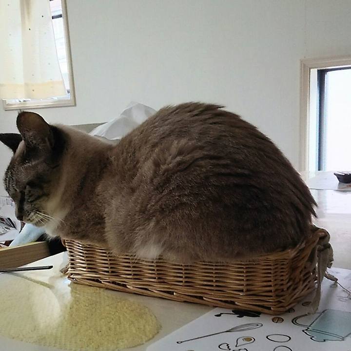 6843ec6f fde1 4284 a47e 94c514465064