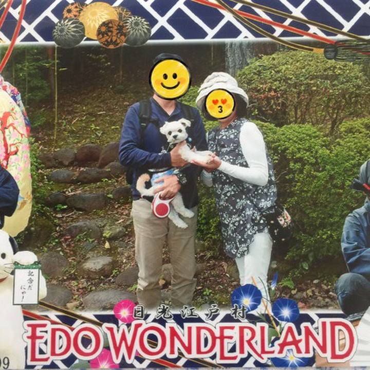 684454b3 542e 43c1 b800 970ab17d8c88