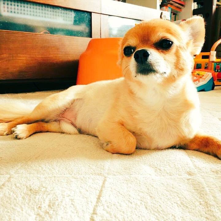 6845089b a33c 44bb 83fa b260228edd62