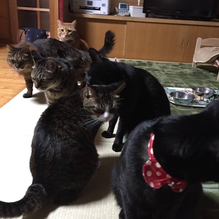 6845384c 566e 4ef1 bd0e 375aeeaf8558