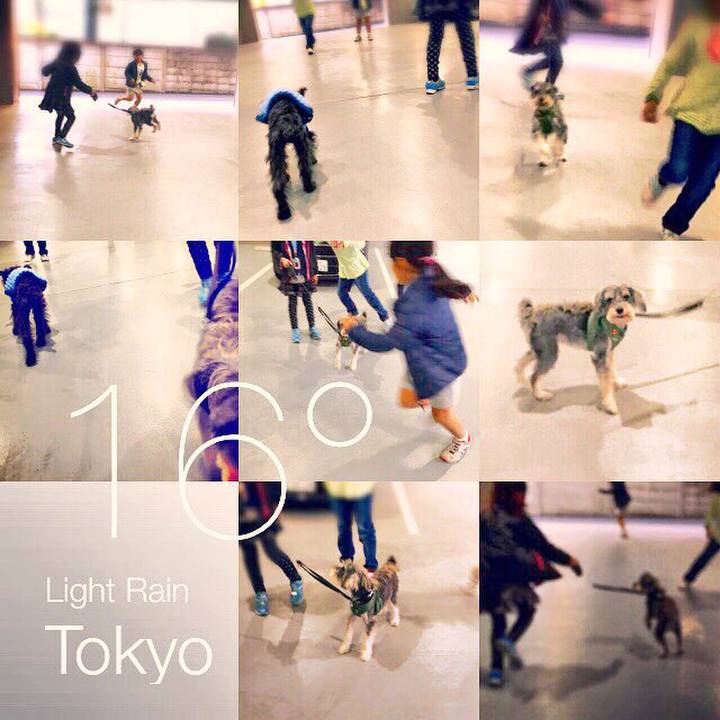 68455a38 3edb 404c bb01 e1b328195e56