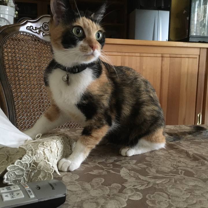 6845a04f 9c51 49bf beef ccfeaa59f35a