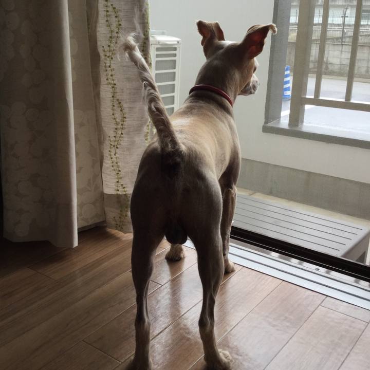 6845bec6 7cab 4278 b95f b4d605df88b1