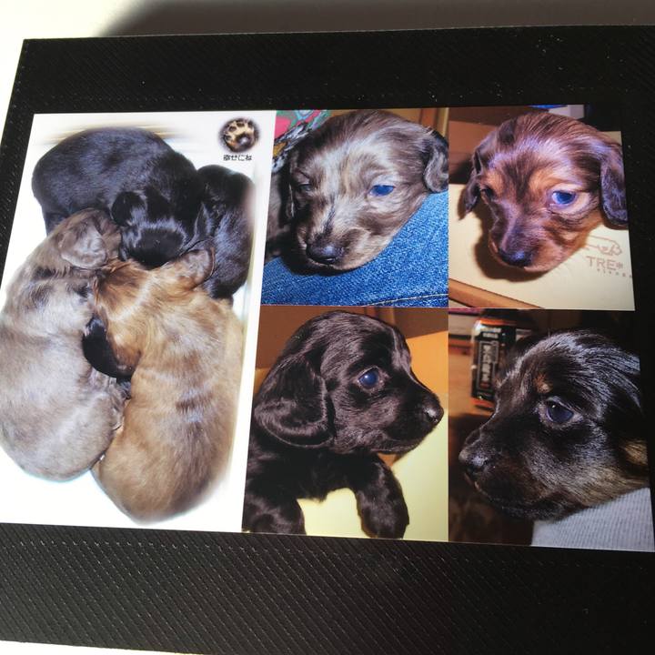 6845d083 d33c 4278 8d17 24c08c1ffdc3