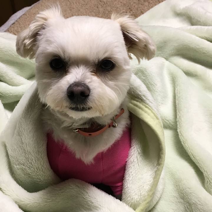 6845deb7 12c4 4ea2 b746 492367cd7ece