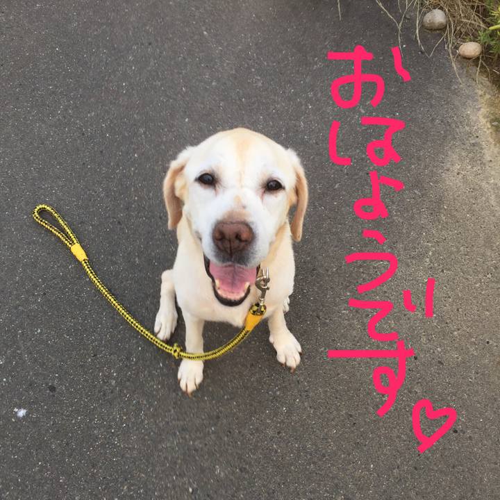 684626dc 1016 4ea9 9bf9 9657b0656074