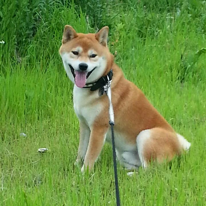 6846744a b2e9 4de7 a788 a0d1de1f5e16