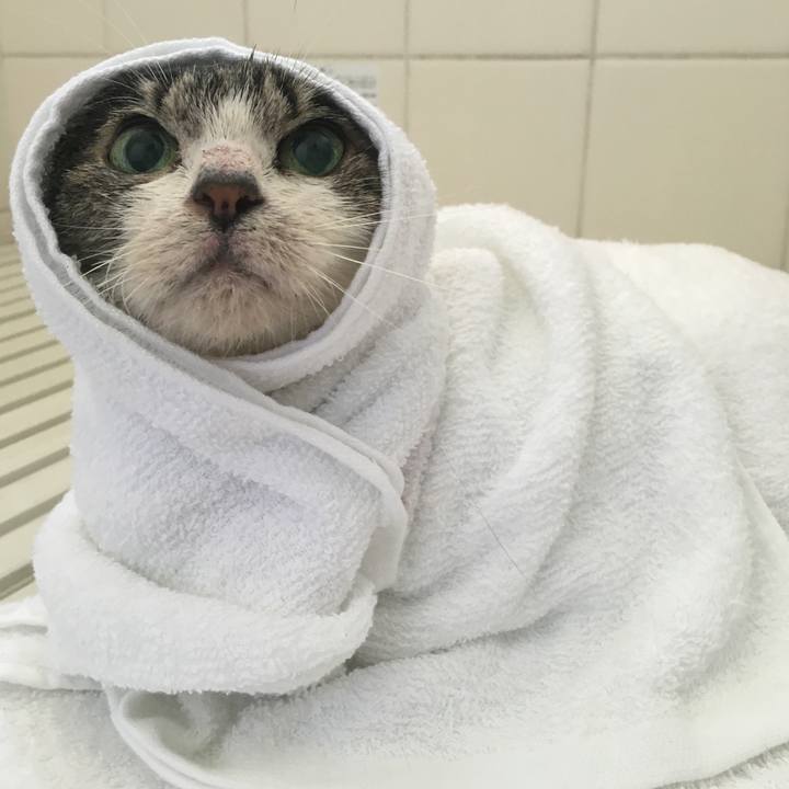 6846caec 36fc 4580 ae99 1a48fad6796a