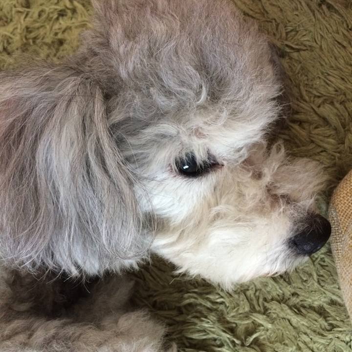 684765f3 b17b 4a97 8403 56d9718046a6