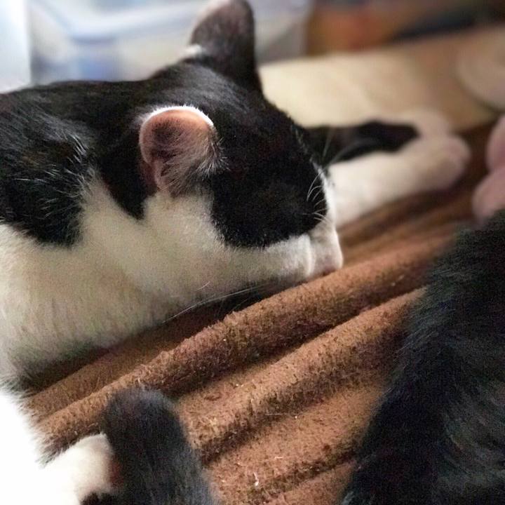 6847deec d22a 4fa2 918c 1d9de089e22c