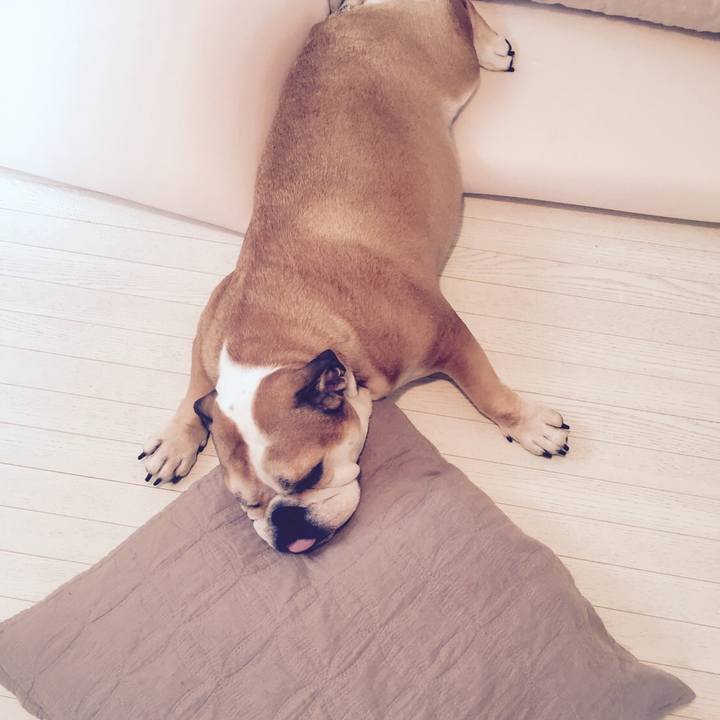 68485bcb 3d0e 474f 916d 0f91cc6292cb