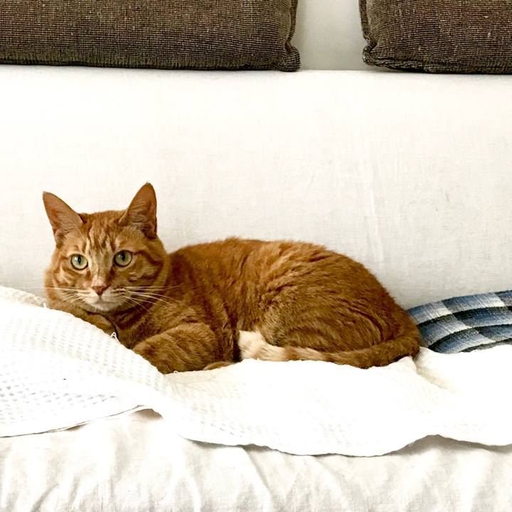 68489fe1 c51d 44f7 9003 e1a3e39b459a