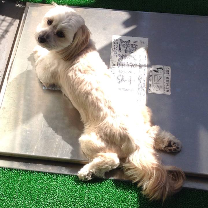 68493433 1f03 459d a6e0 69bedf4c87ee